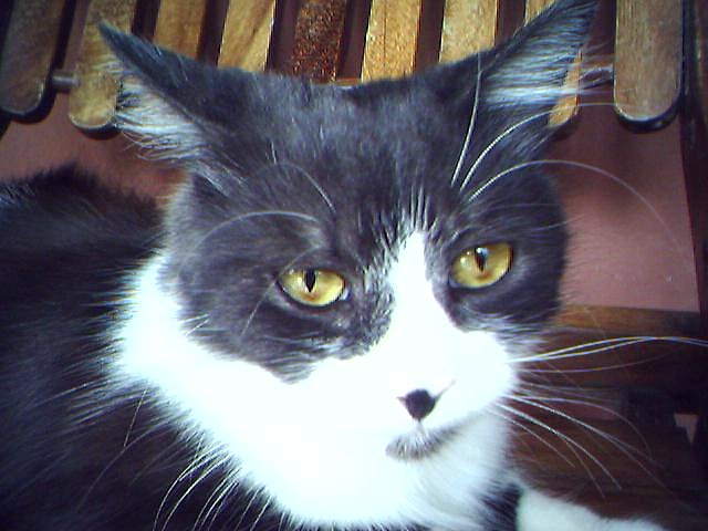 d68c9d46.jpg