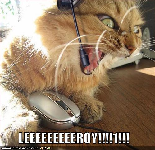 lolcats-funny-pictures-leroy-jenkins1.jpg