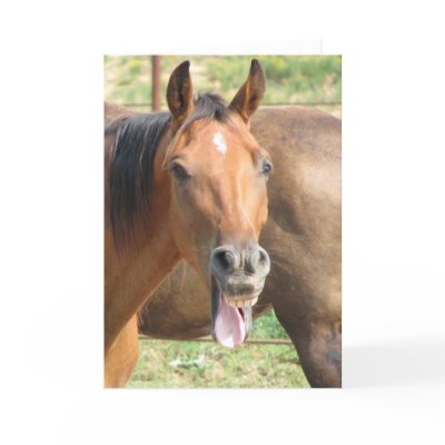 laughing_horse_card-p137843020133834454qiae_400.jpg