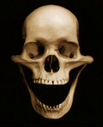 150px-Muerto_de_risa.jpg