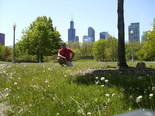 chicago2.jpg