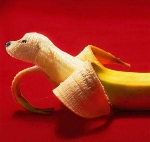 fun_with_food_28.jpg