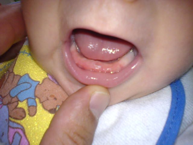 DSC06409.JPG