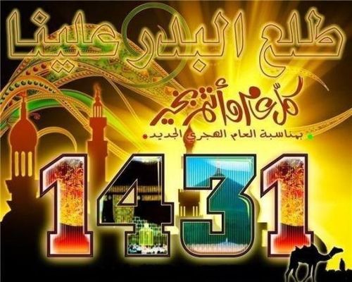 1431.jpg