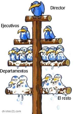 2784_jerarquia-de-la-oficina.jpg