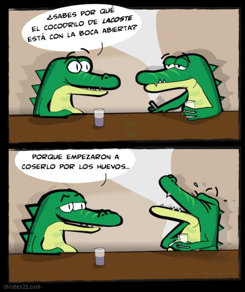 2842_el-cocodrilo-de-lacoste.jpg