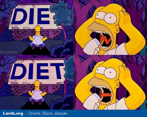 simpsons-homer-die-diet-meme.jpg