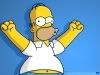 homer_1024x768nlkl.jpg