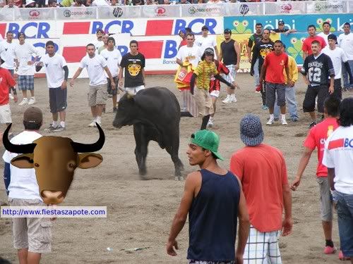 corrida-toros-fiestas-zapote.jpg
