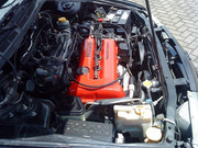LYCi-9bb03b3a.jpg