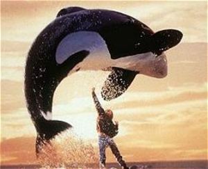 free-willy.jpg