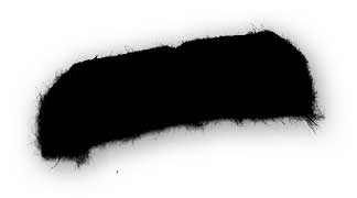 bigote.jpg
