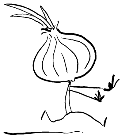 20060913113711-cebolla.gif