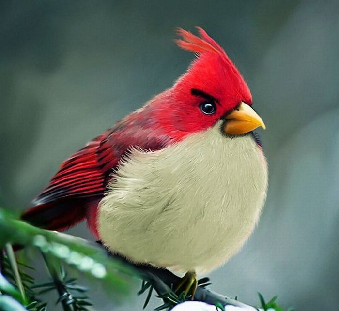 angry_birds_01.jpg