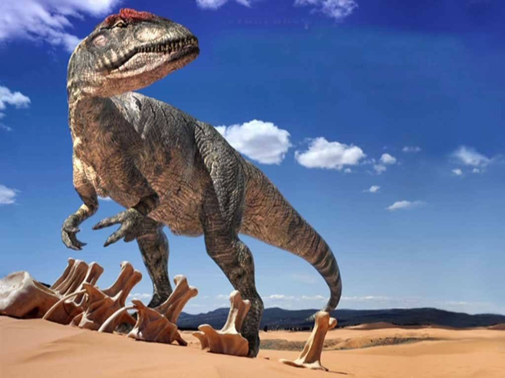 fondos-dinosaurios.jpg