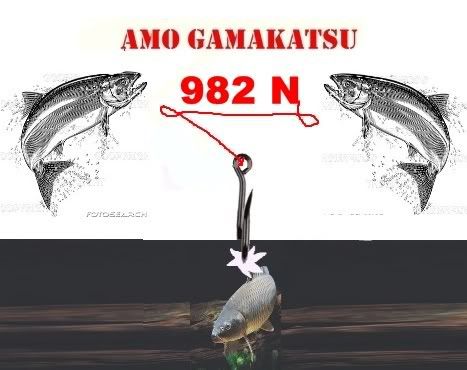 982N.jpg