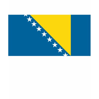 bosnia_flag_t_shirt-p235206988236920714uh7s_400.jpg