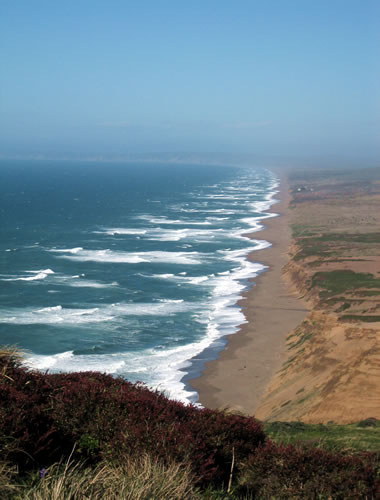 point-reyes-shore.jpg