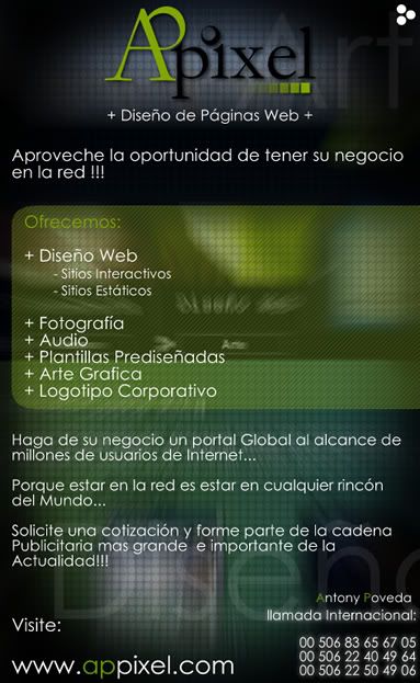 afiche_ap.jpg