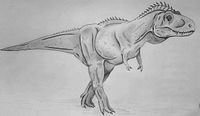 200px-Nanotyrannus.jpg