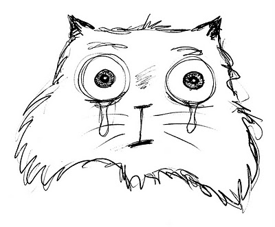 gato-lloron2.jpg
