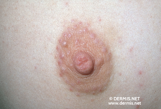 img0022.jpg