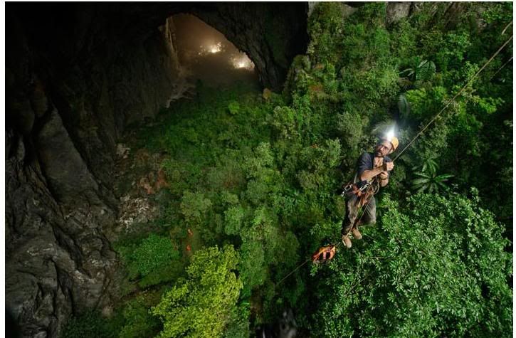 f15ccee9cave2.jpg