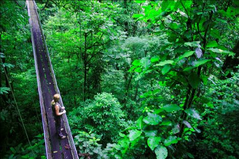 tenorio_lodge_activites_05_puente_heliconias.jpg