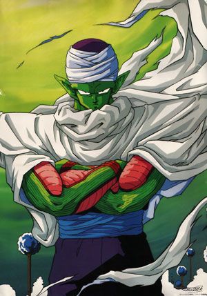 piccolo.jpeg