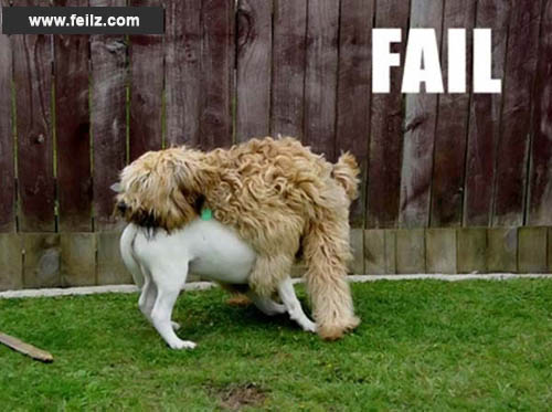dog-humping.jpg