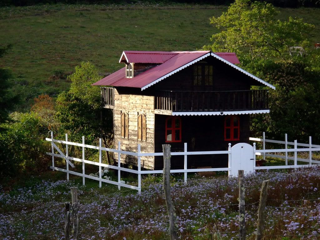 2009_1227DIC0136-1.jpg