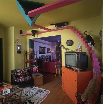 casa_gatos.jpg