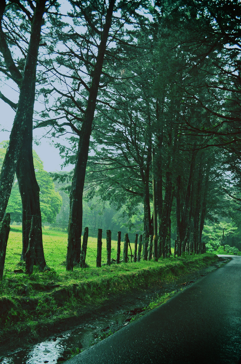 4589543933_e7c8c79d75_o.jpg