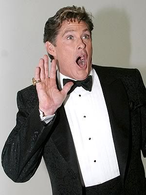 david_hasselhoff.jpg