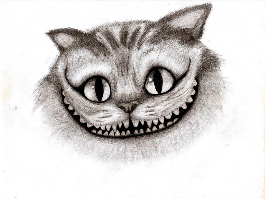 gatu_by_cigaroSG.jpg