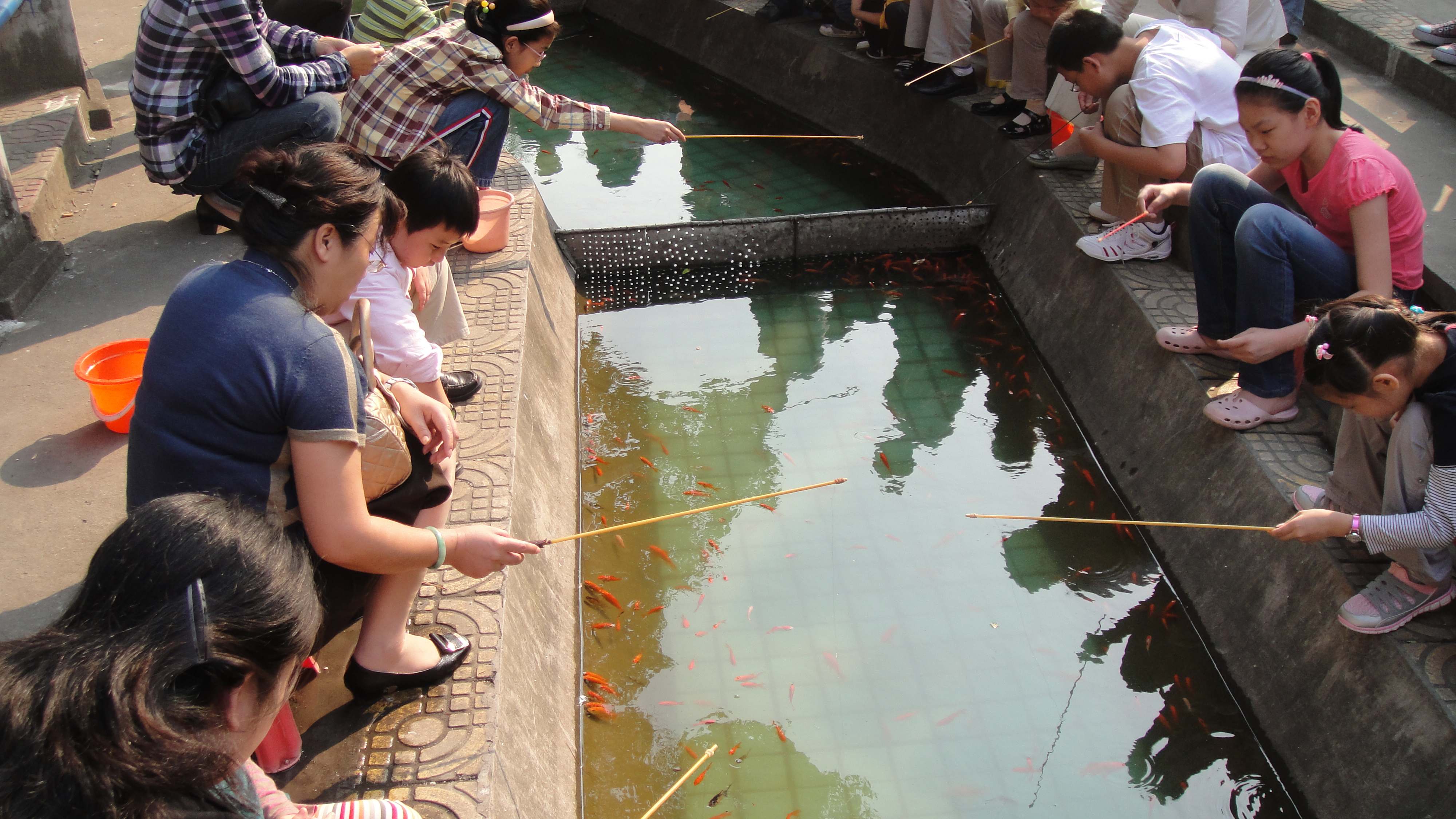 pescando-peces.jpg