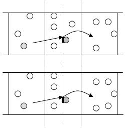 observacion-de-la-voleibol-06.jpg