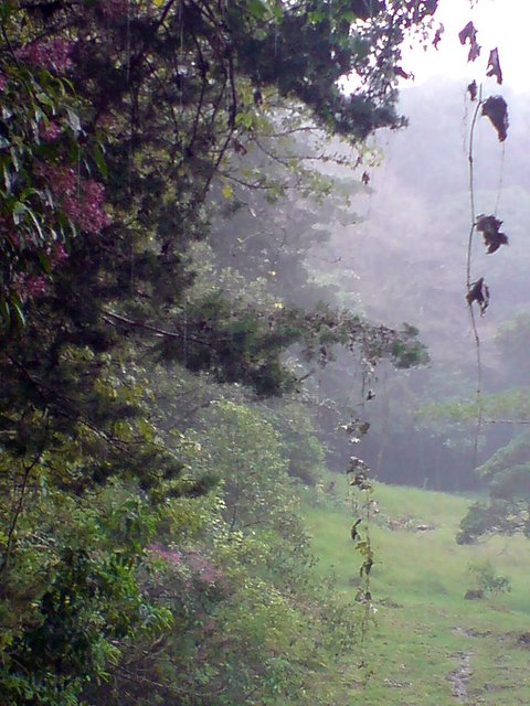 979f76d3.jpg