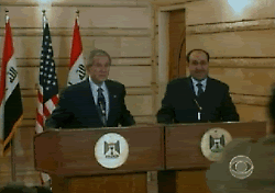 bush_08_p.gif