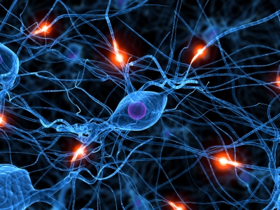 Neurons.jpg