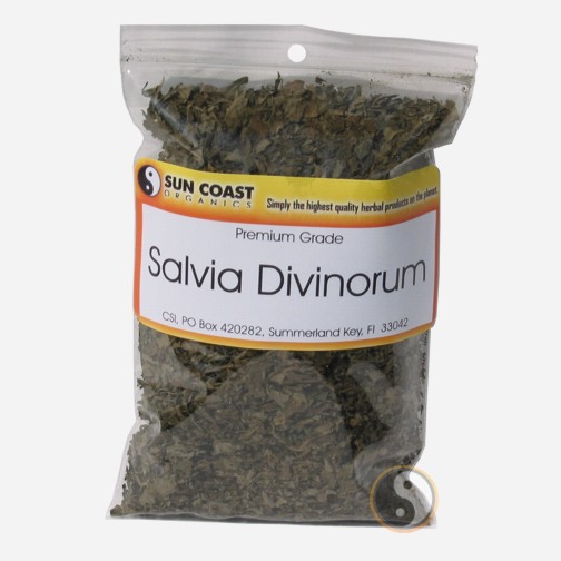 salvia7in.jpg