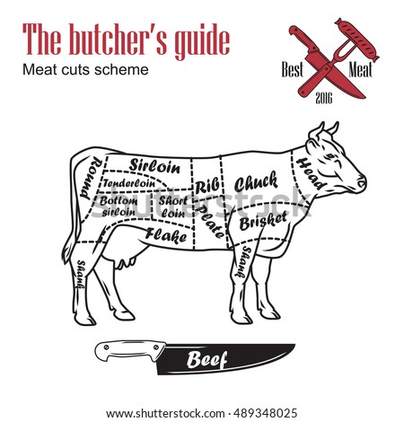 stock-vector-butcher-guide-vector-illustration-cut-scheme-beef-cow-meat-vintage-design-489348025.jpg
