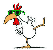 gifs-animados-gallinas-gallos-divertidos.gif