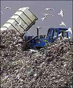 basura250.jpg