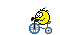 146amarillos.gif
