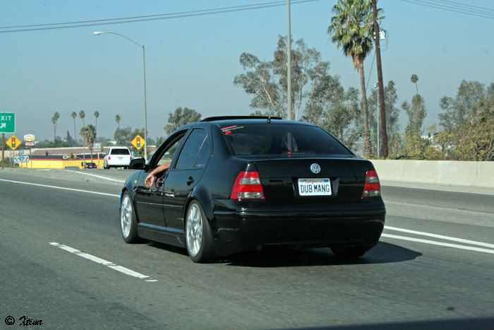 IMG_0693copy.jpg