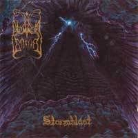 1996-Stormblst.jpg