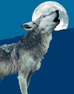Animated_Gray_Wolf-Howling_under_fu.gif