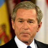 bush.jpg