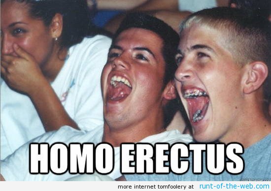 high-school-homo.jpg
